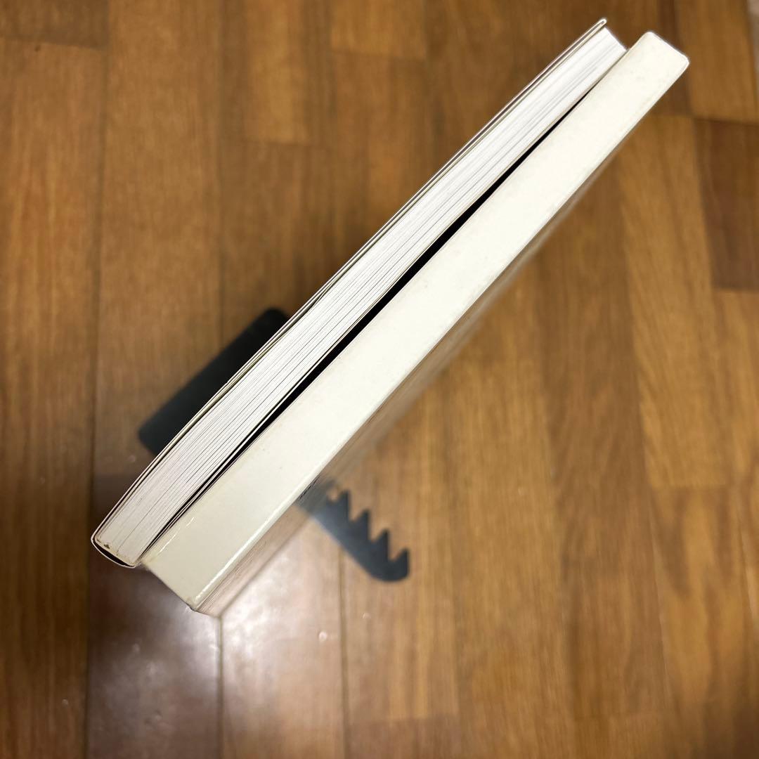 希少　【絶版　初版】　天野喜孝 美女画集 処女宮