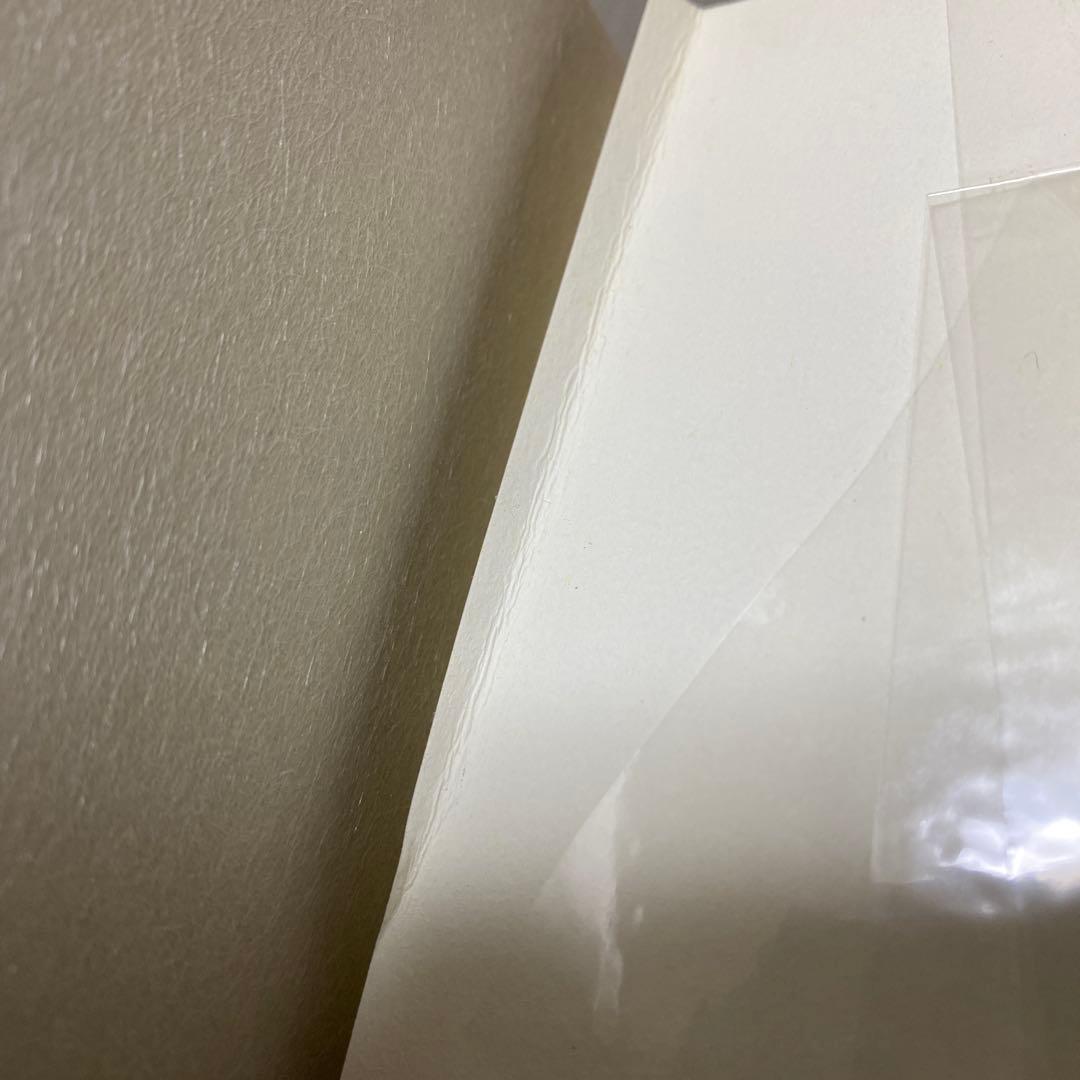 山口晃:Singa-planet