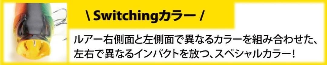 POP MAX スイッチング B/H EXHIBITION 大阪 限定商品