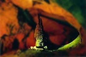 【Ryan McGinley：Moonmilk】　　★★新品