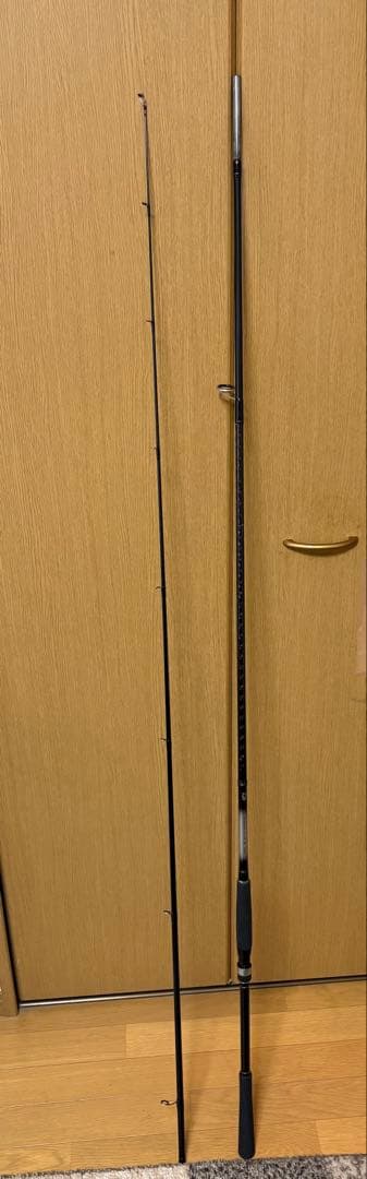 Daiwa シーバスフラット X 100M ロッド　釣竿