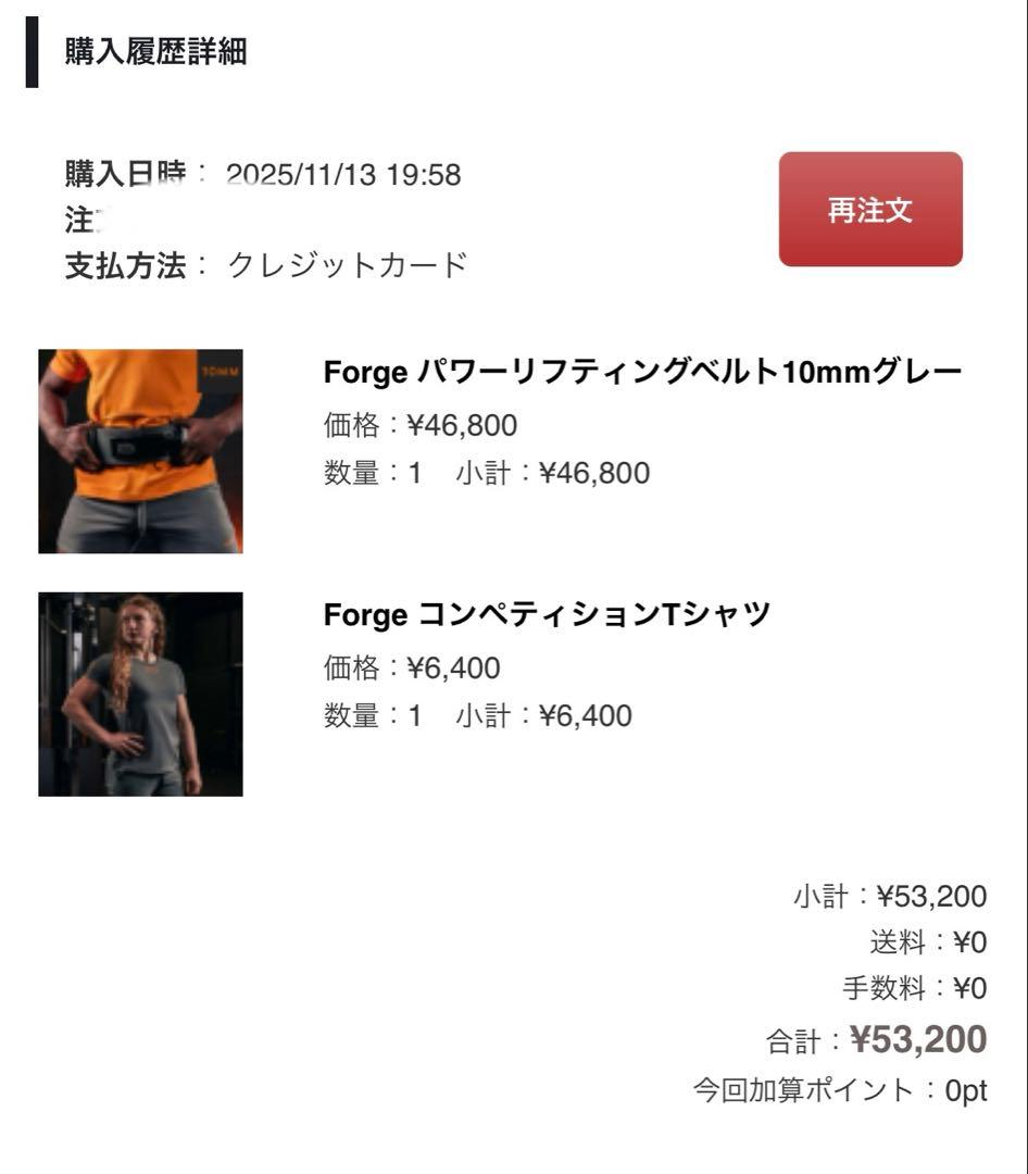 SBDベルト　10mmMサイズ　グレー