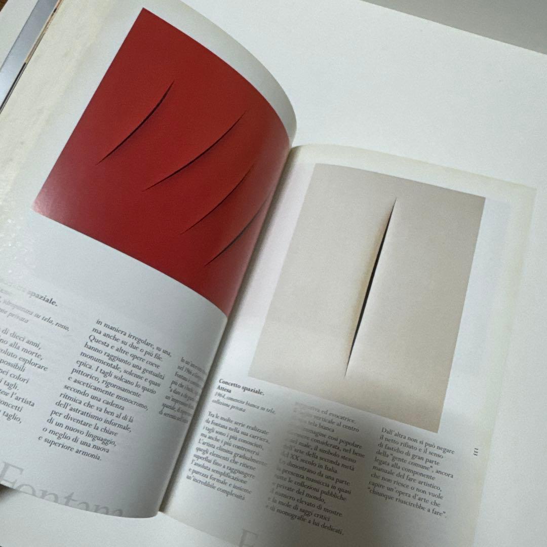 PITTURA 20世紀の世界的画家 解説イタリア語