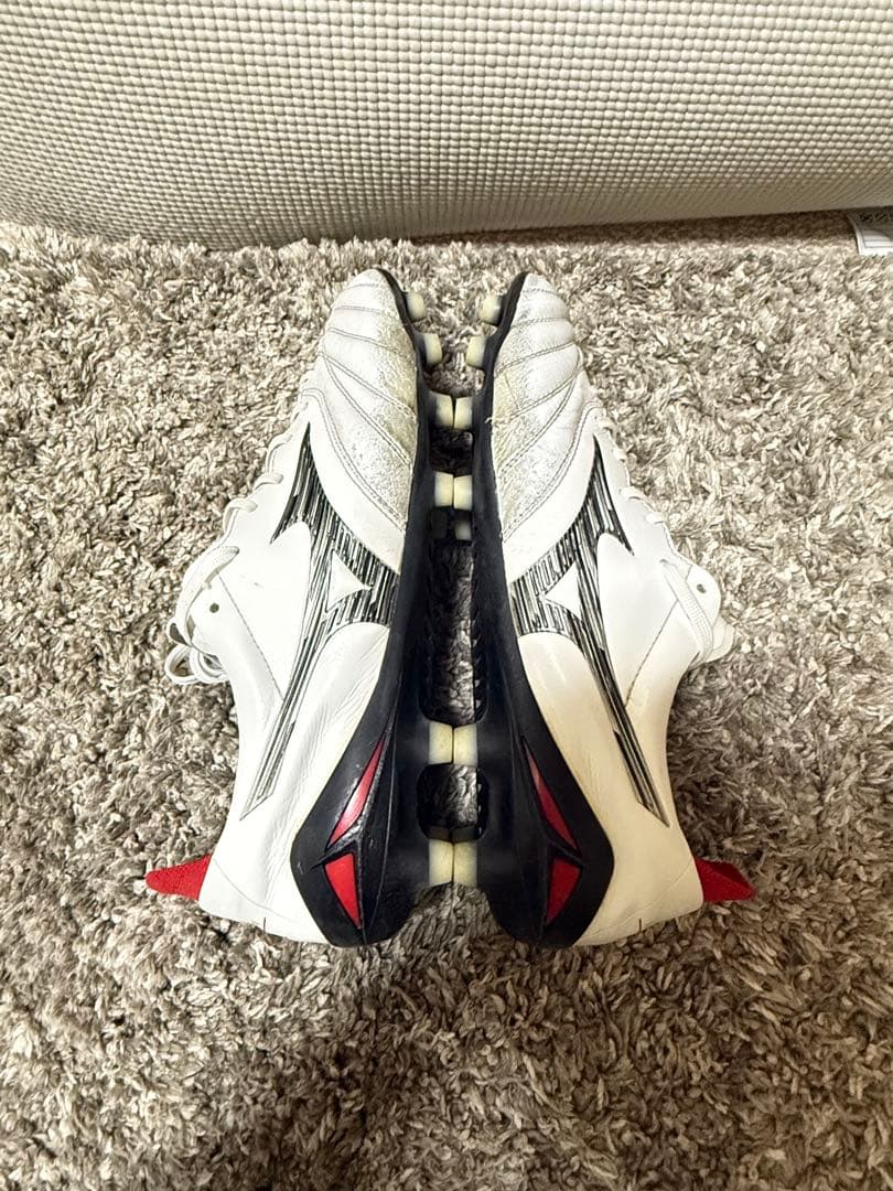 モレリアネオ4 26cm