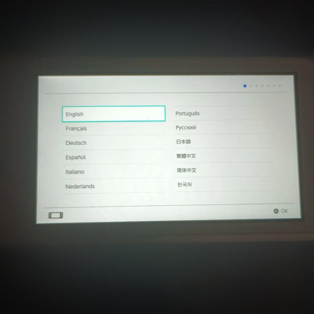 Nintendo Switch Lite ポケモン版 どうぶつの森同梱