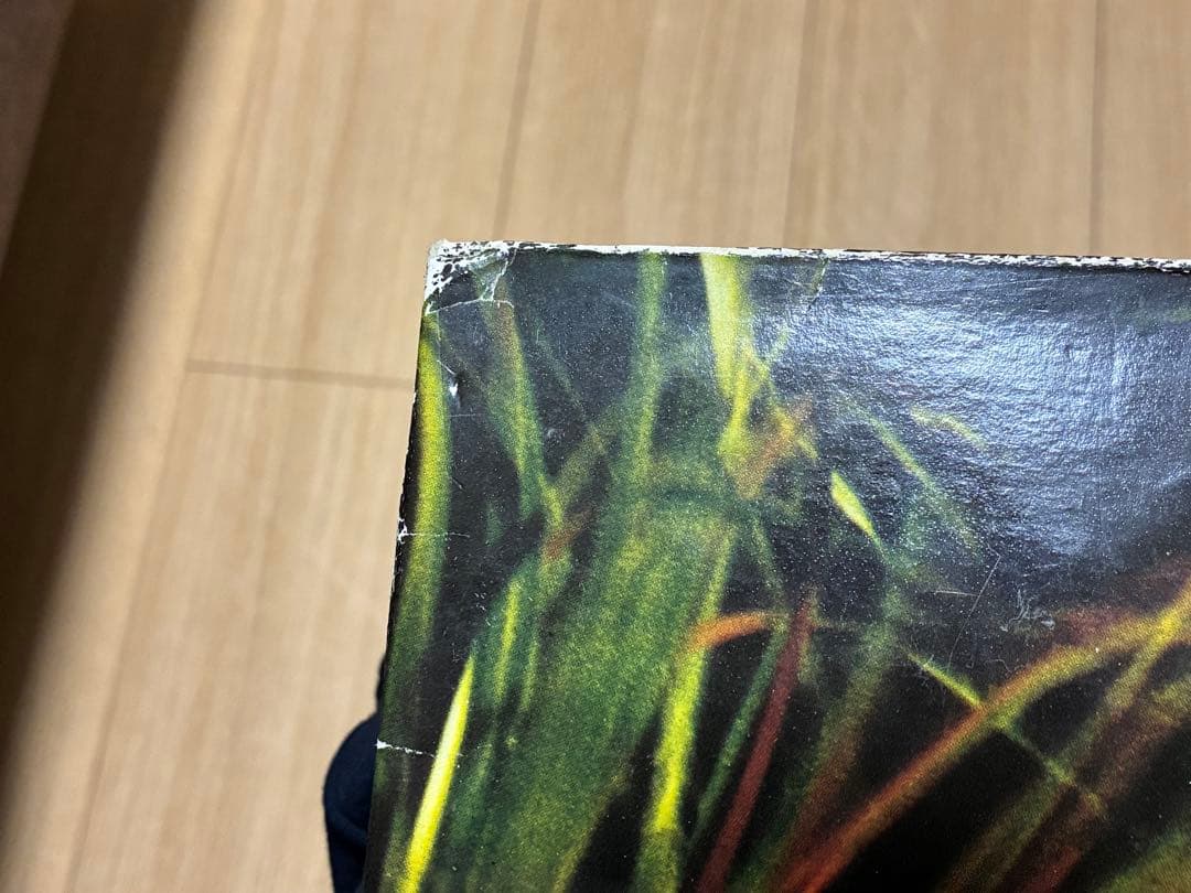 洋楽 Primal Scream Give Out But Don't Give LP