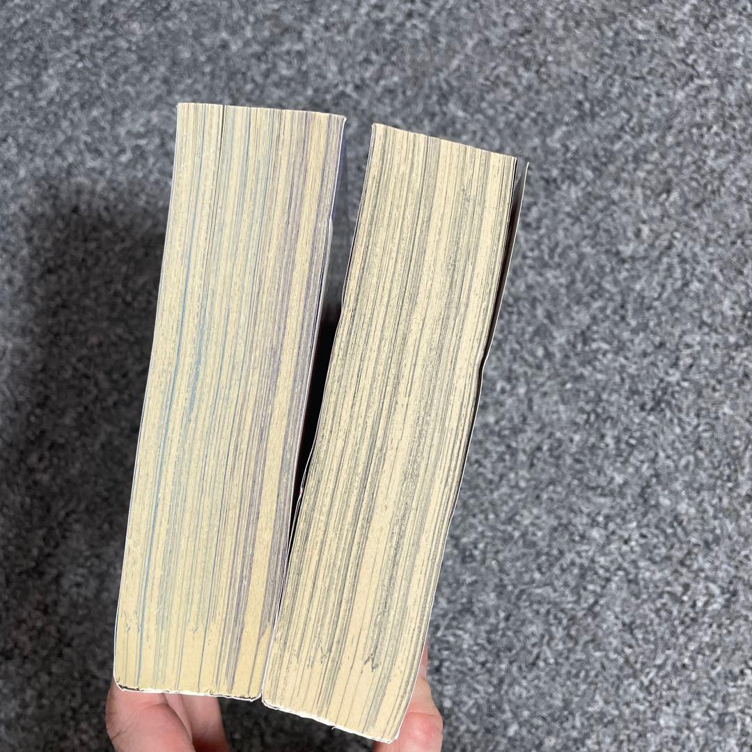 恐怖の快楽 2024年7月号、家庭ミステリー　2023年5月号 レディコミ