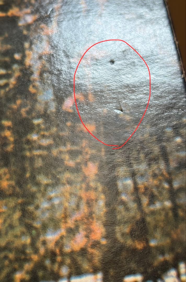 Black Sabbath ブラックサバス 黒い安息日 LP SFX-7203