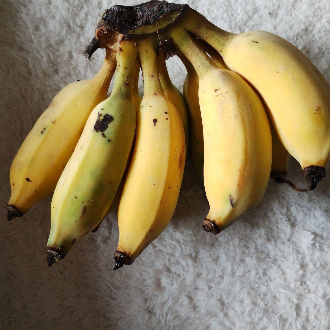 ハル☆様確認用　アップルバナナ