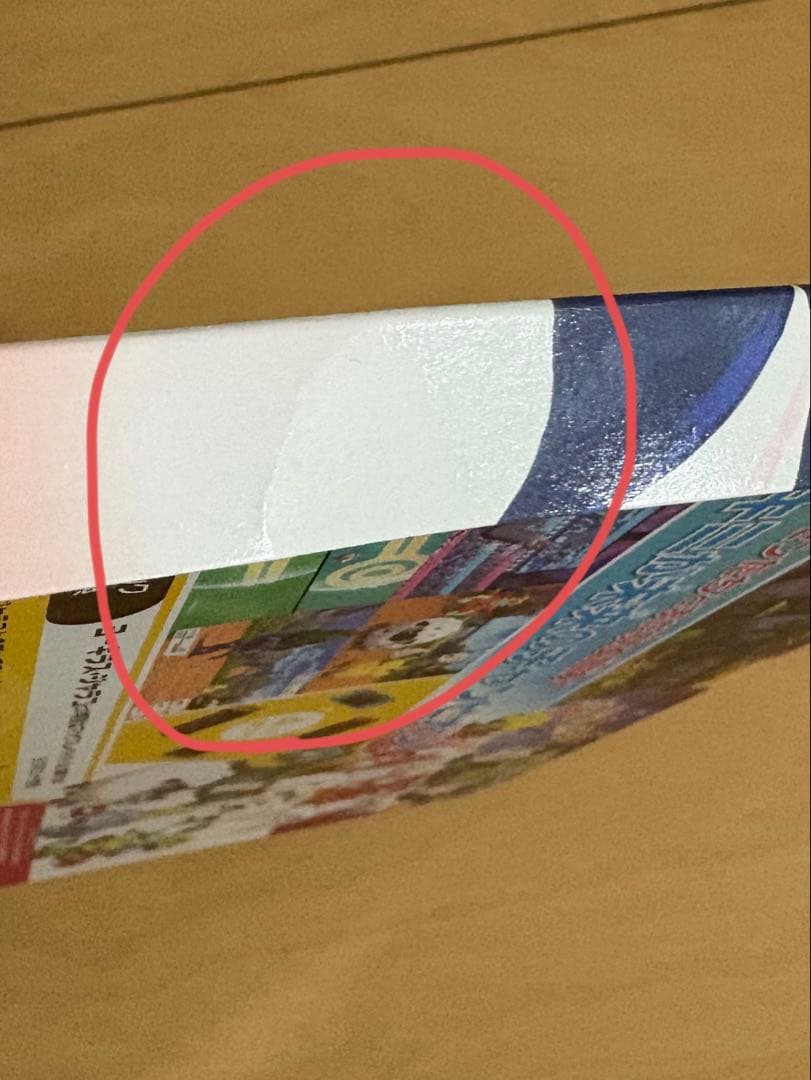 ポケットモンスター ソード・シールドWP ダブルパック　DOUBLE PACK