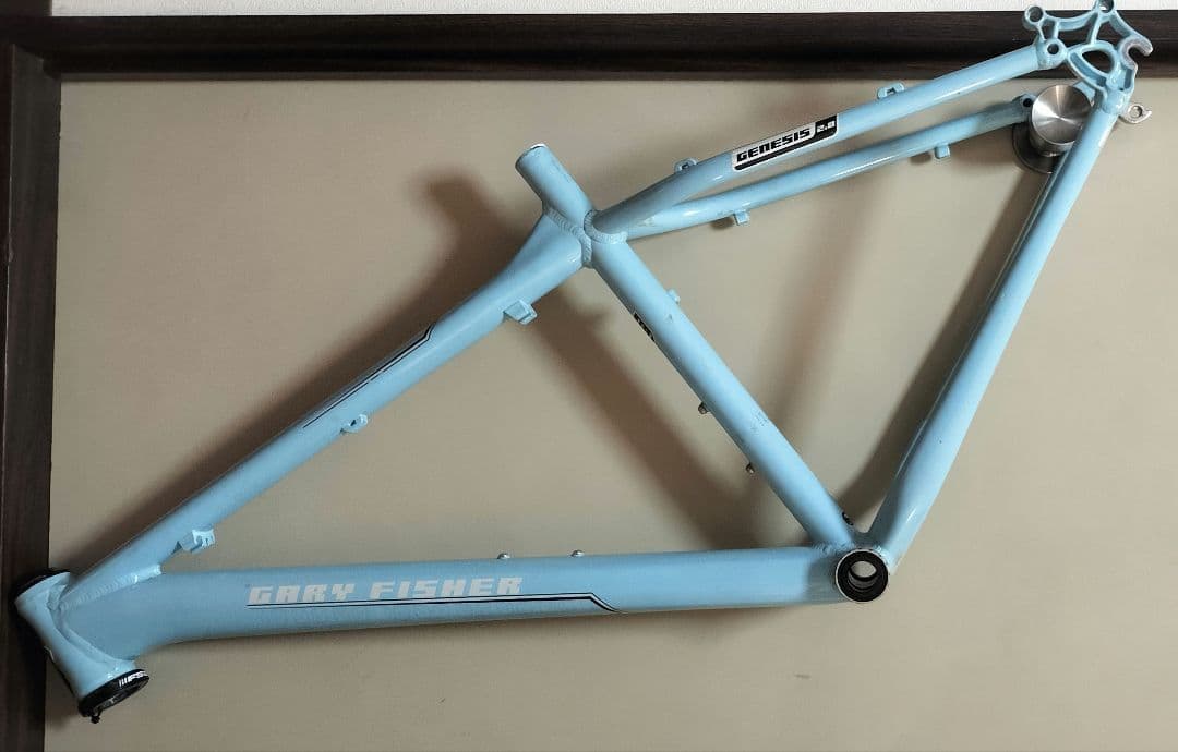 Gray Fisher Paragon 29 マウンテンバイクフレーム