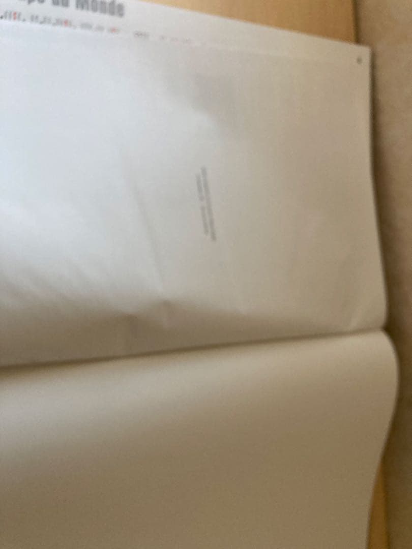 W杯　写真集 L`EQUIPE La coupe du Monde