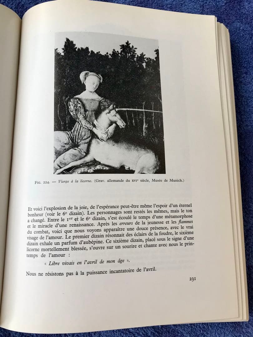 洋書　\"モーリス・セーブのデリー\"(仏語)(メルカリ専用)