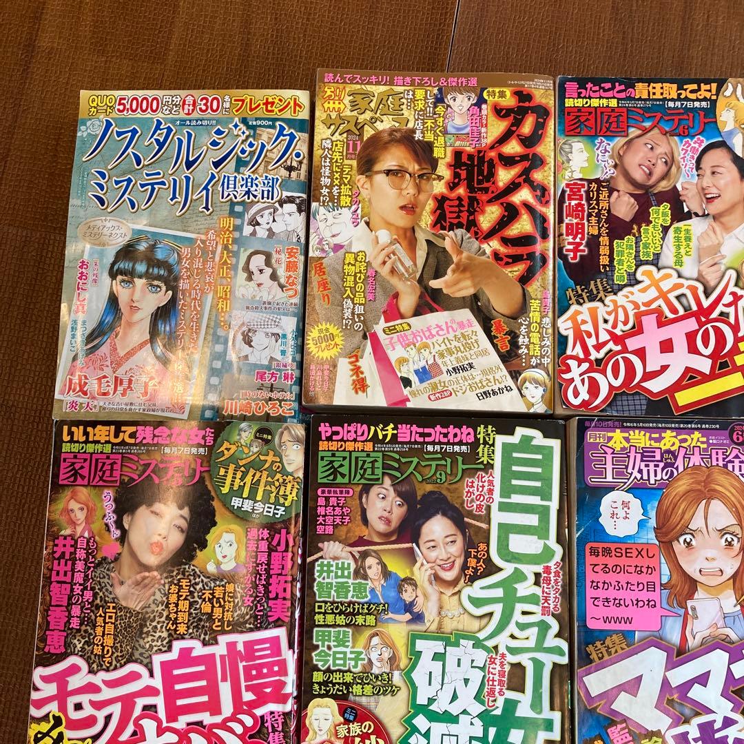 の*ん様 レディースコミック　レディコミ　まとめ売り　12冊セット