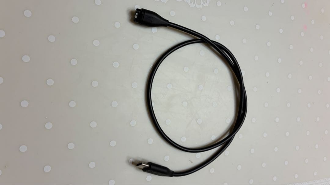 GARMIN APPROACH S44 GPSナビ 赤黒バンド 値下げ