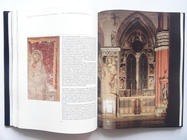 洋書◆サン・ペトロニオ大聖堂写真集 I 本 イタリア ボローニャ 歴史 芸術