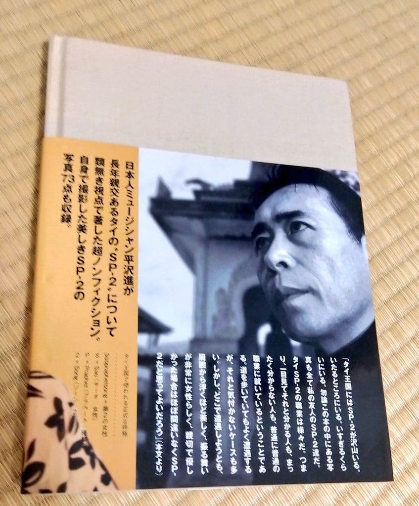☆8/28まで出品！ (絶版 希少品) 平沢進『SP-2』