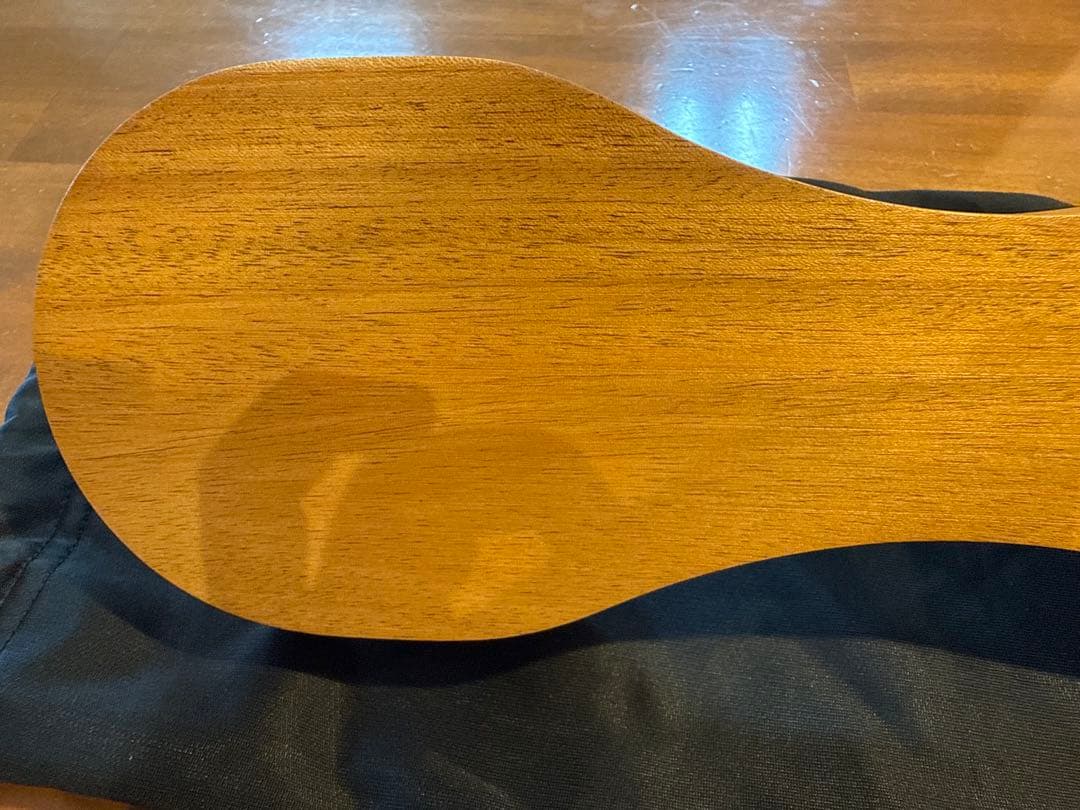 ペルビス　骨盤職人　正規品　保存袋付き