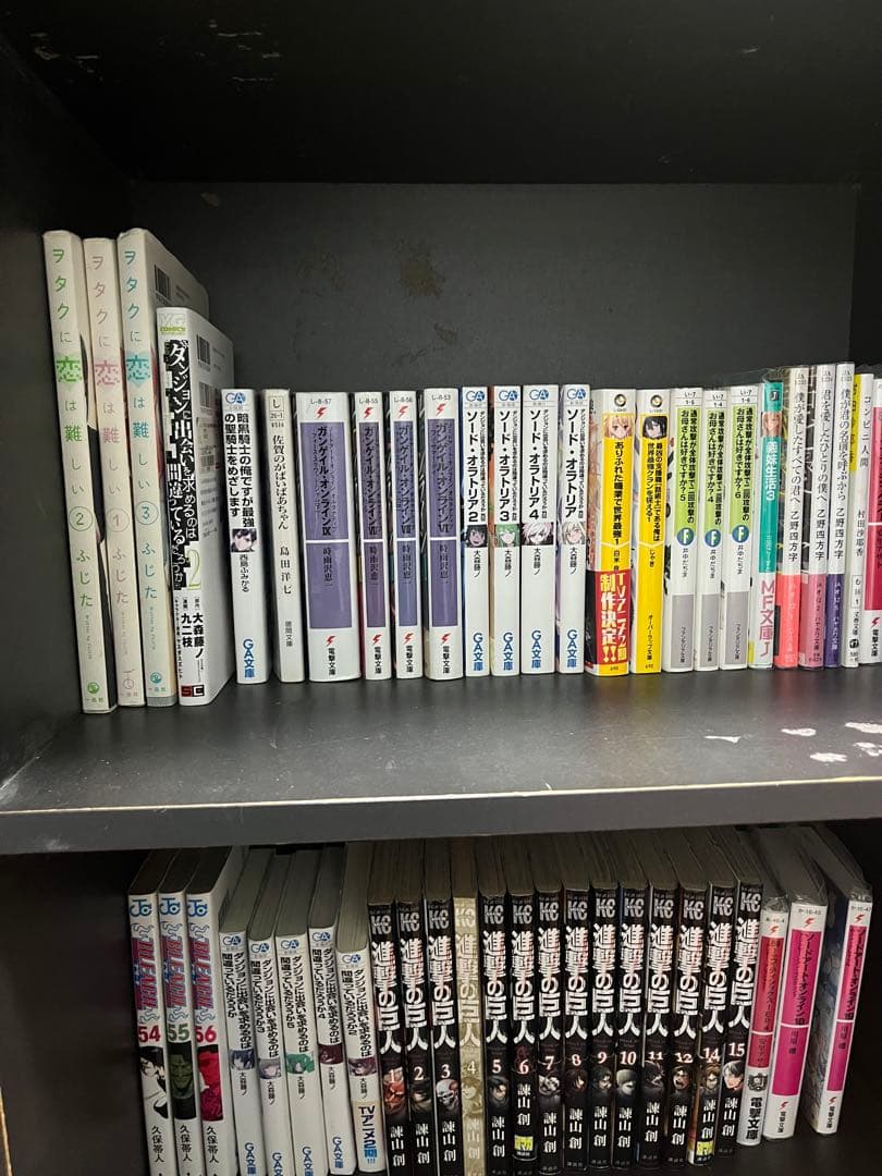 漫画　ラノベ　大量セット（値段は依頼）