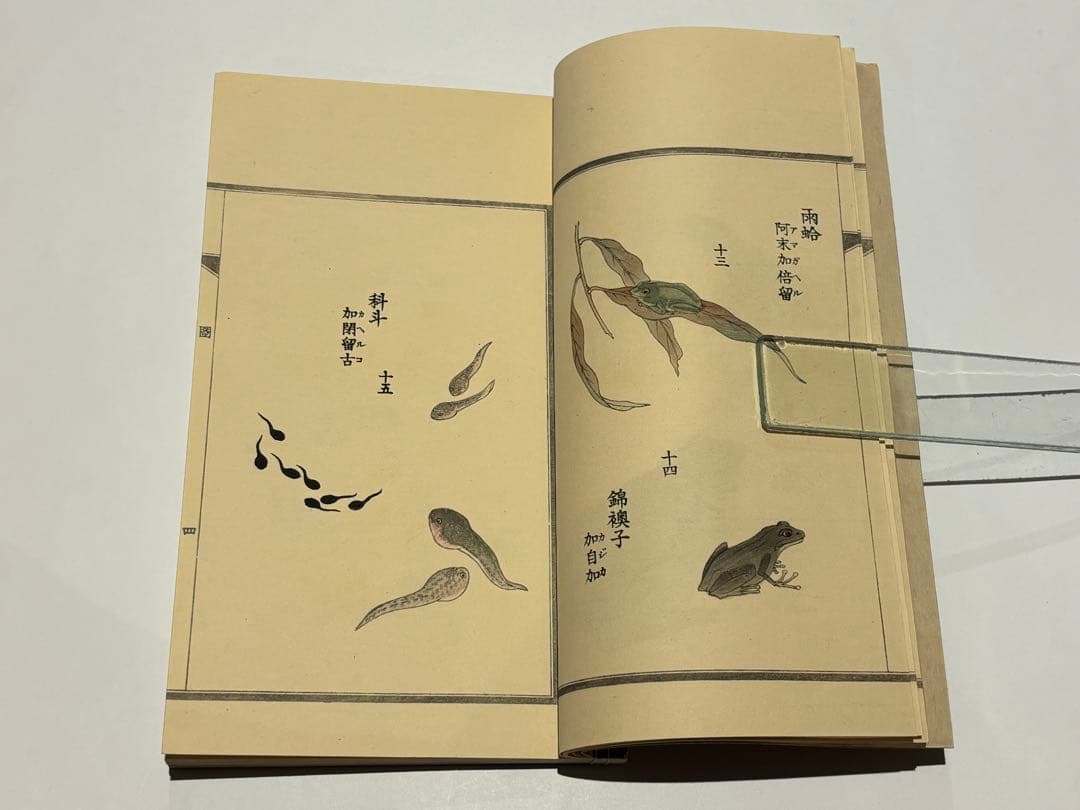 「百虫詩画 名蠕蠕集」山本復一著 山田茂助刊 明治39年刊 揃2冊|和本