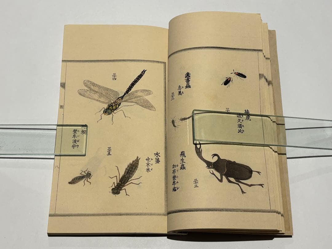 「百虫詩画 名蠕蠕集」山本復一著 山田茂助刊 明治39年刊 揃2冊|和本