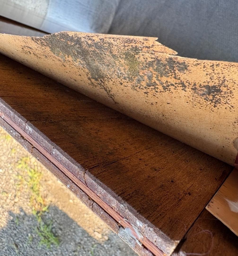  peak（スノーピーク）現状品 アウトドアテー