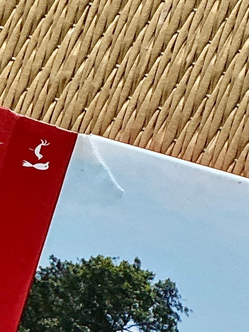 Robynn & Kendy (葉晴晴、孫曉慧) CD 5セット