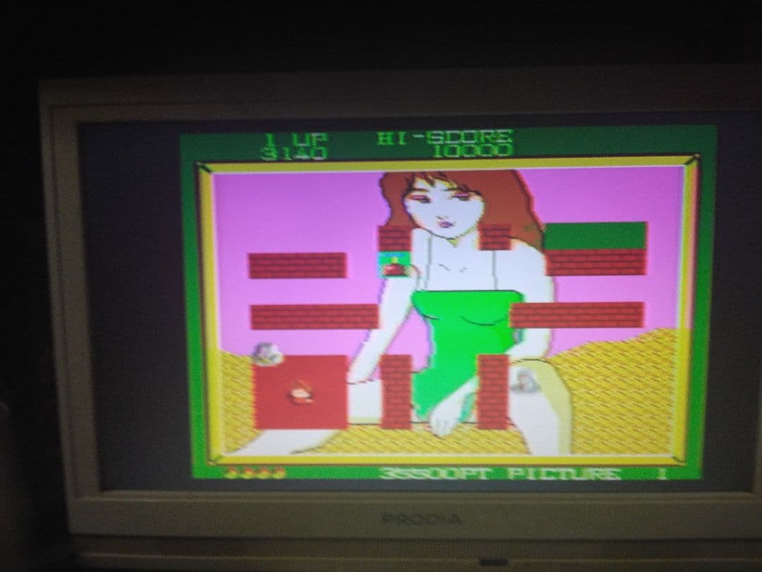 アーケード基板キャンバスクロッキー基板とインスト2枚のみ取扱説明書無し