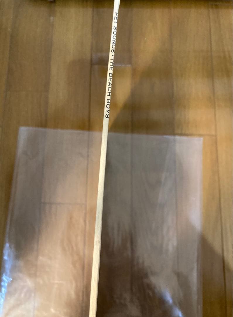 稀少USオリジナルLAプレスMonoビーチボーイズPet Soundsレコード