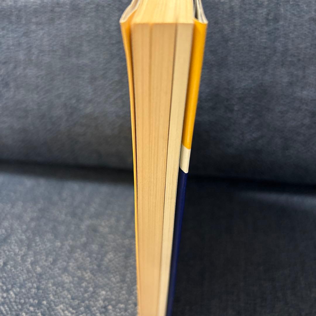 気オロジーとワンショット療法 気の応用学とソフト刺激療法 伊東聖鎬 著