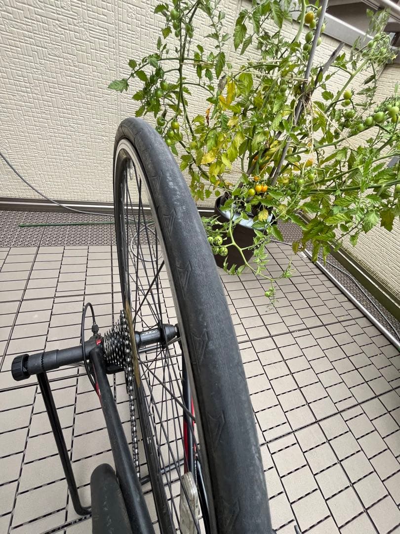 Felt z85 本体のみです