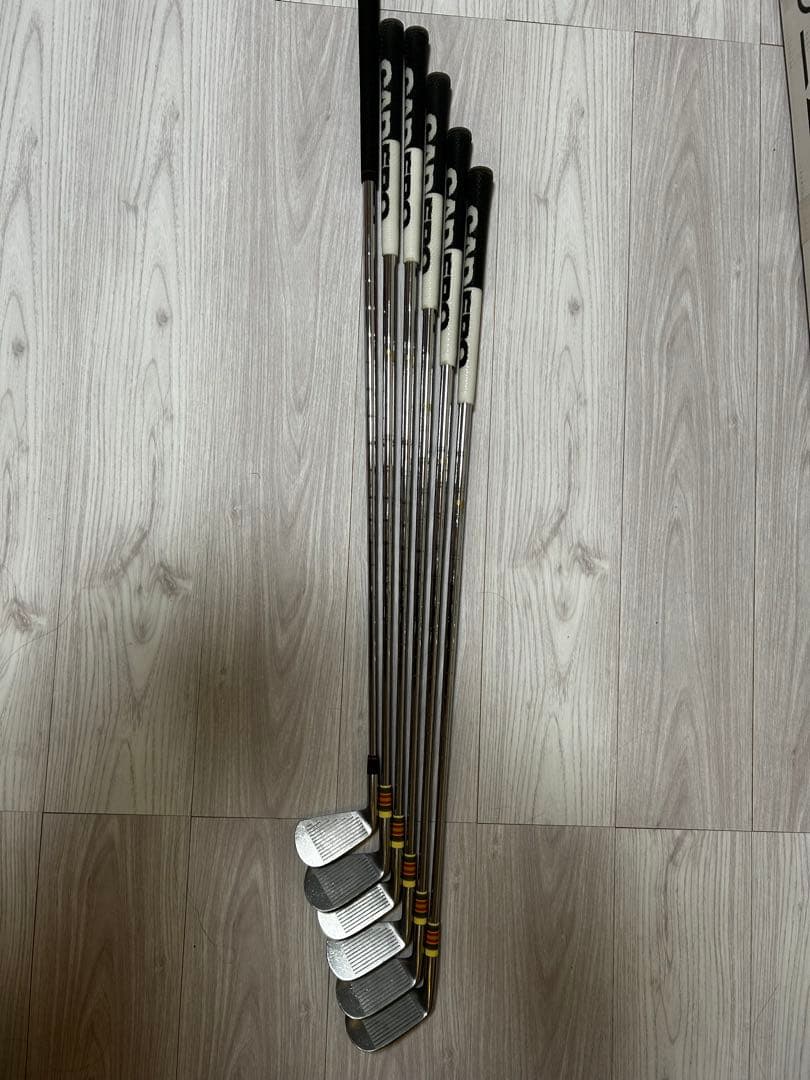 ロッディオ マイスターアイアンPW〜5番セット