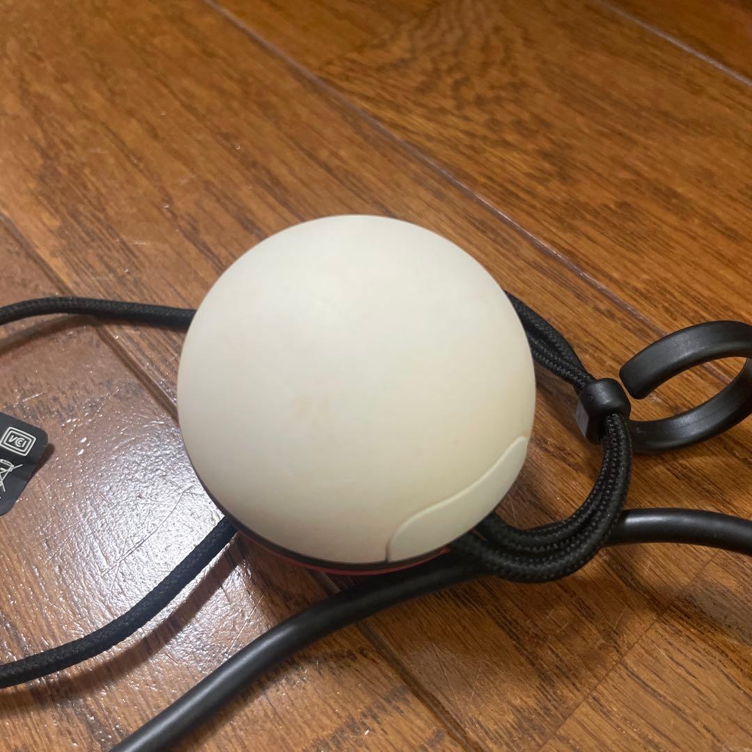 ポケットモンスター Let's Go! ピカチュウ