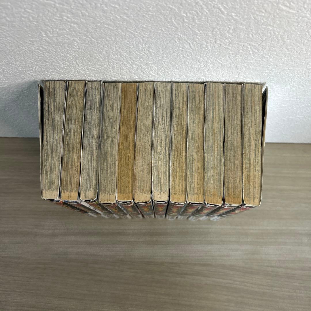 【超希少】デュエルマスターズ　全17巻　FE全12巻 SX 全9巻 セット