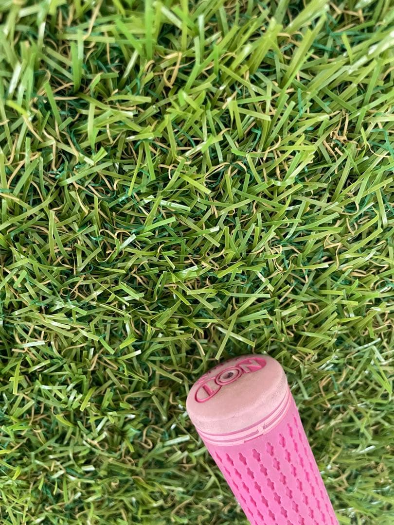 女性用 ダンロップ XXIO11 ゼクシオ11 アイアン MP1100 Sw L