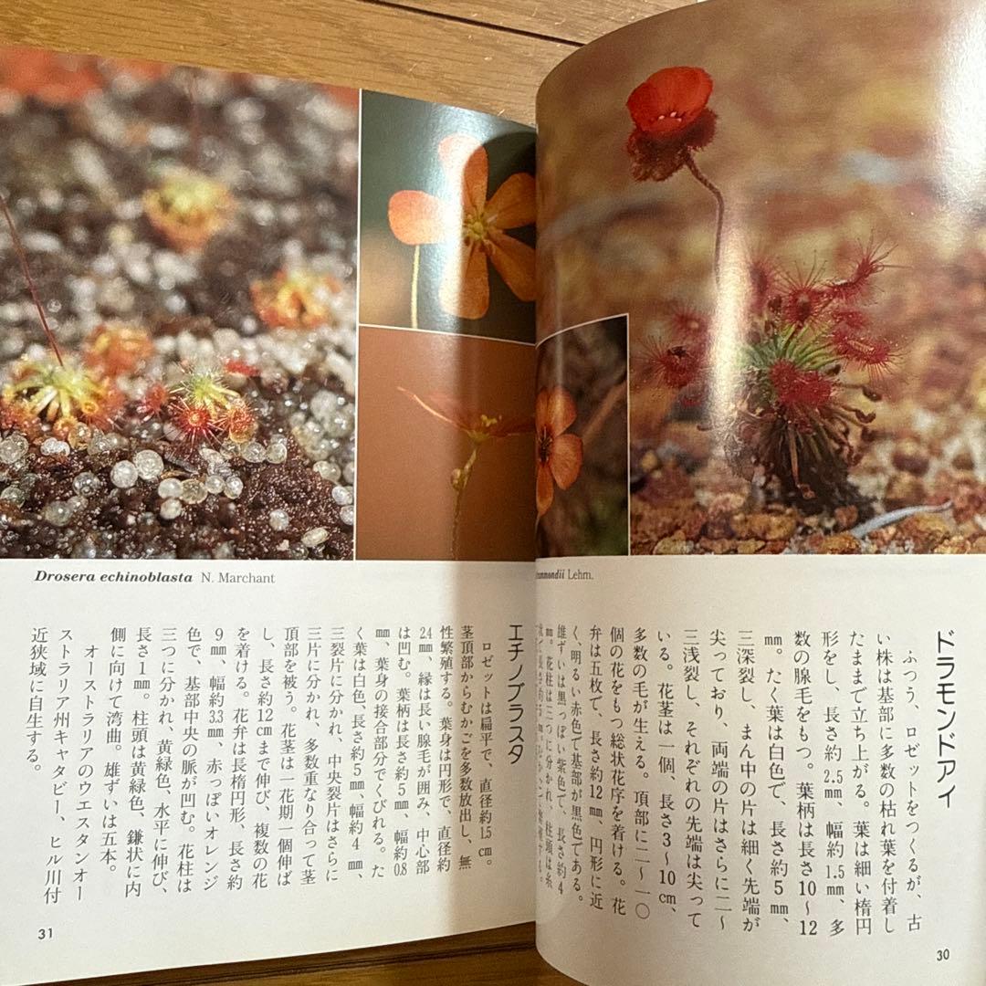 初版 食虫植物図鑑 : カラー版