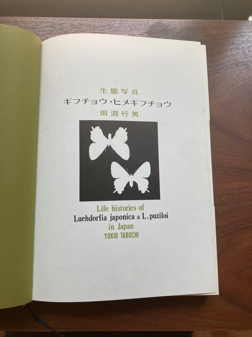 ギフチョウ・ヒメギフチョウ　田淵行男　講談社　生態写真　蝶　写真集
