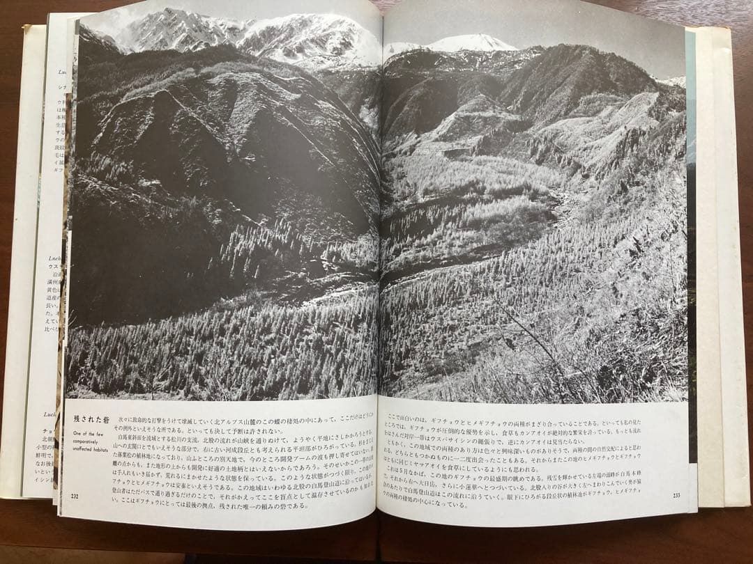 ギフチョウ・ヒメギフチョウ　田淵行男　講談社　生態写真　蝶　写真集