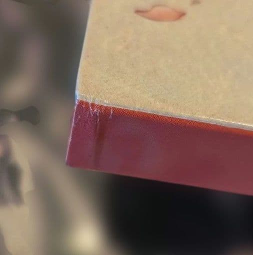 瀬戸の花嫁DVD 全9巻+OVA2巻+ファンディスク2巻