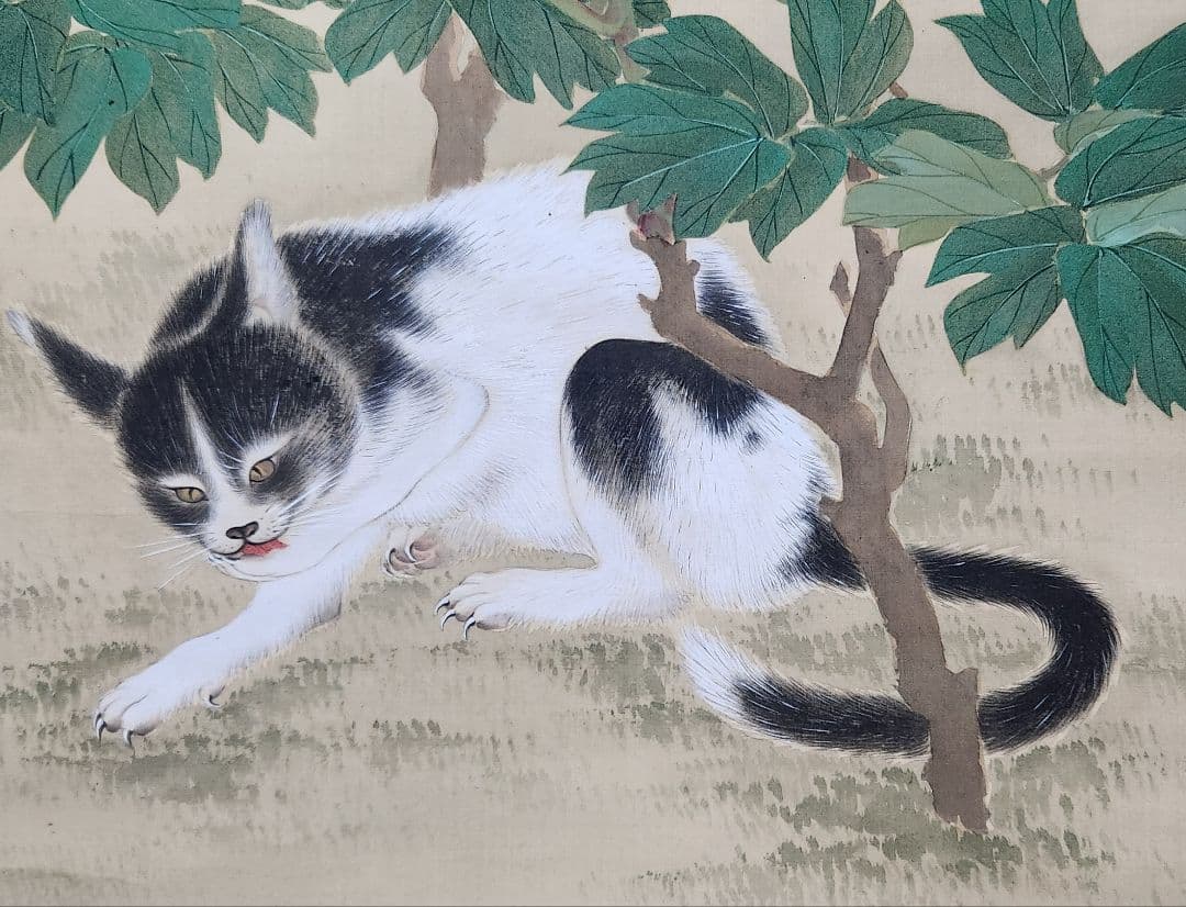 【牡丹に猫】竹川友廣 2667 ボタンとネコ 竹川友広 掛け軸 肉筆