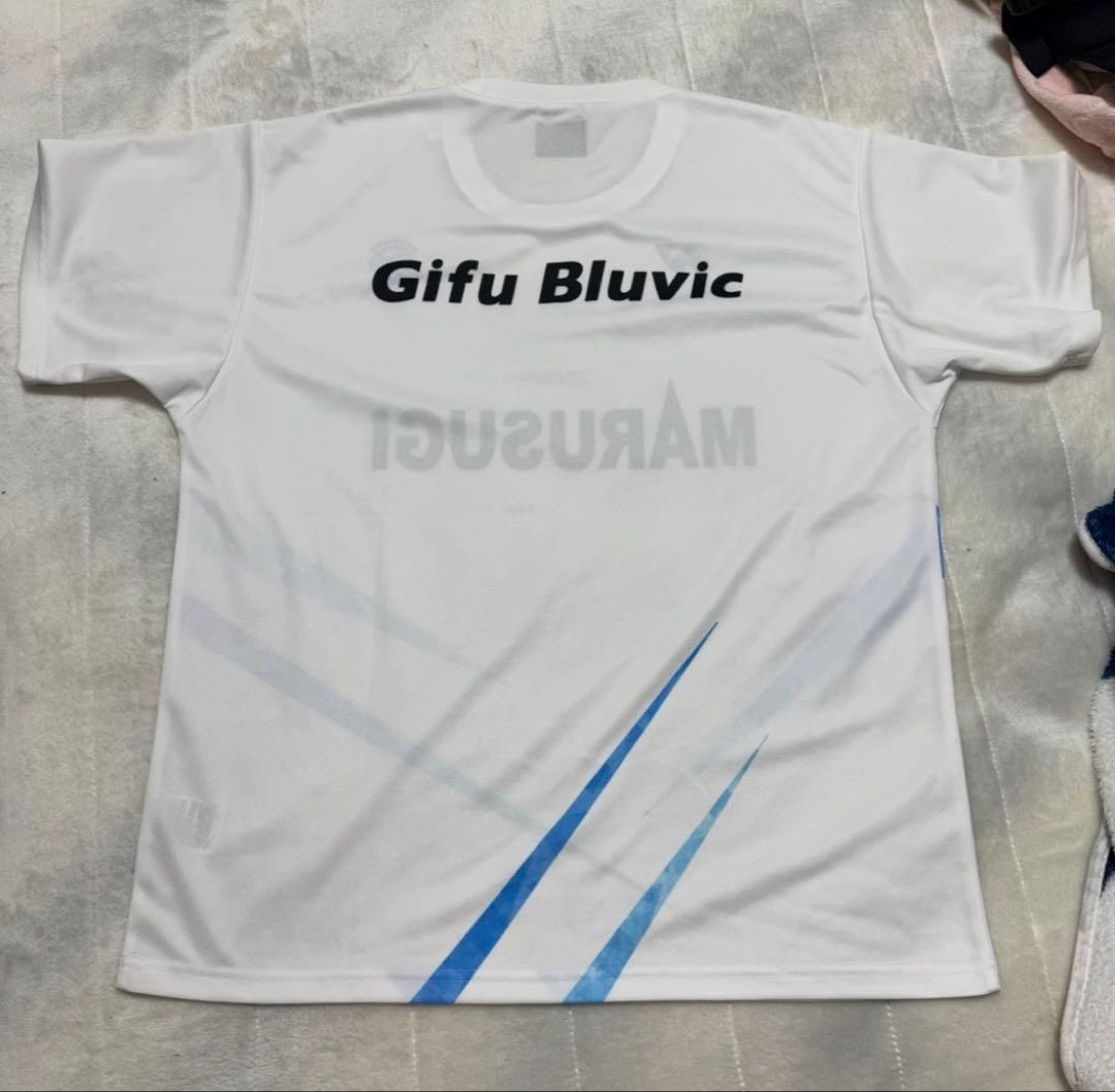 ヨネックス日本代表岐阜ブルビックL