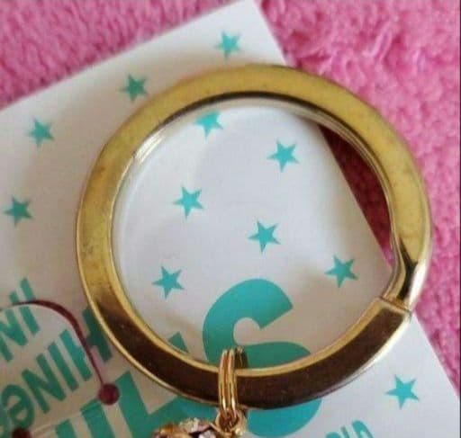 【激レア】SHINee ネーム キーホルダー♡