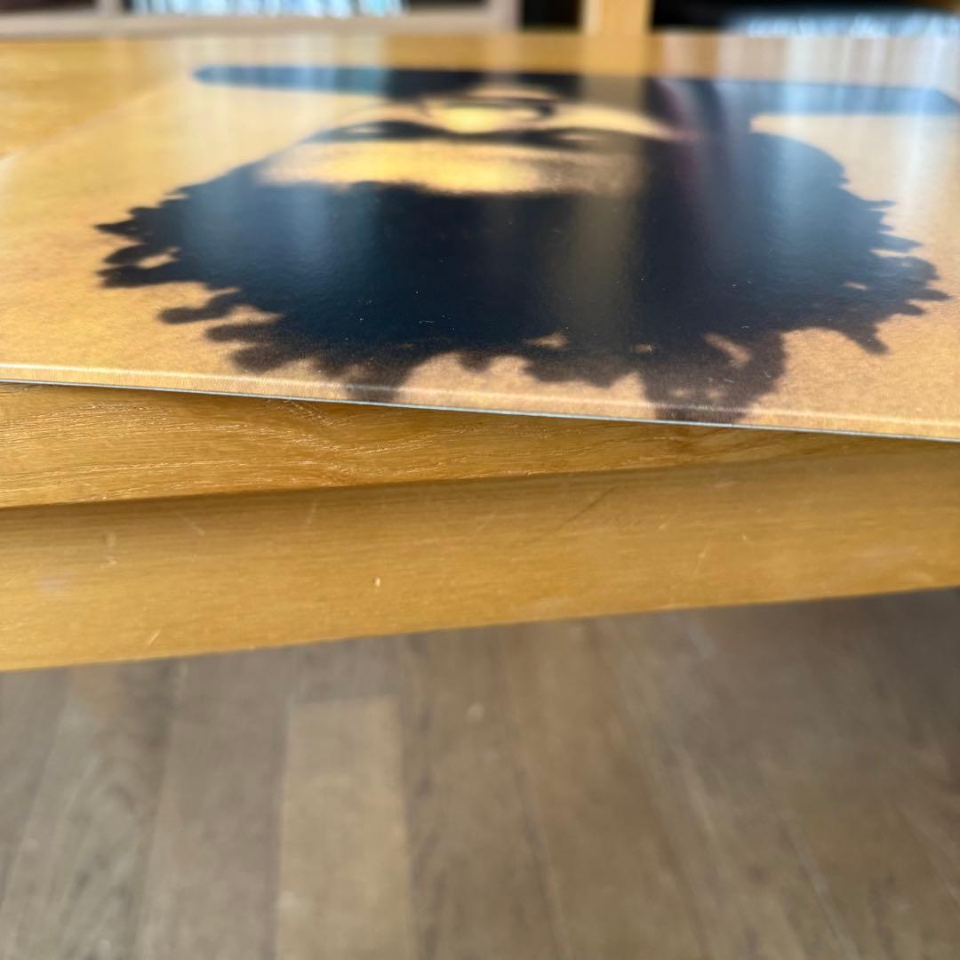 TRACY CHAPMAN トレイシーチャップマン 1st LPレコード