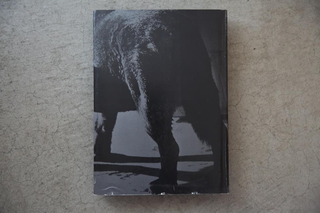 森山大道　光の狩人