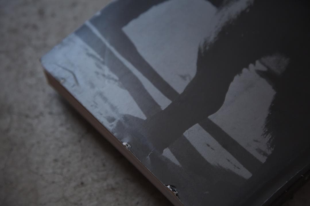 森山大道　光の狩人