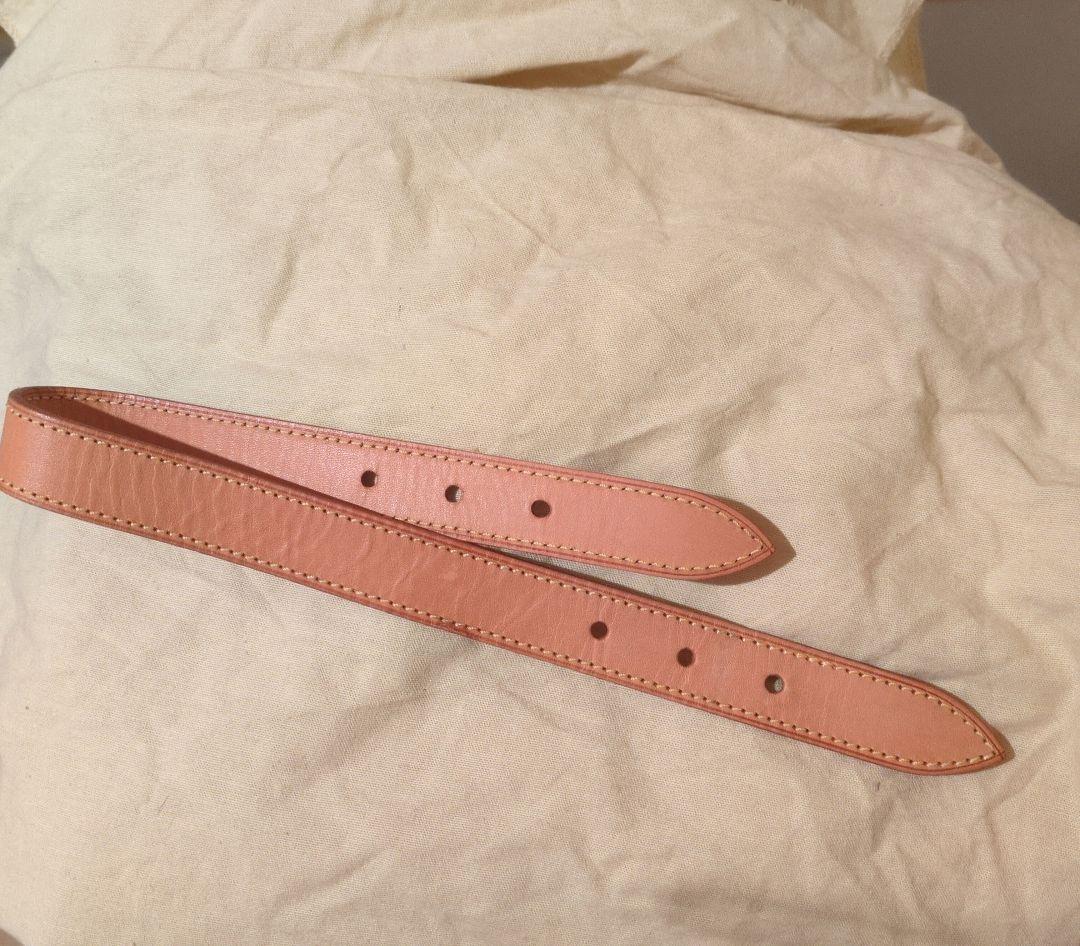 LOUIS VUITTON デニムバッグ　バギーPM