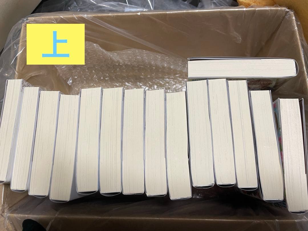 最終価格❗️王太子妃になんてなりたくない!! 1〜10全巻➕王太子妃編1〜5巻