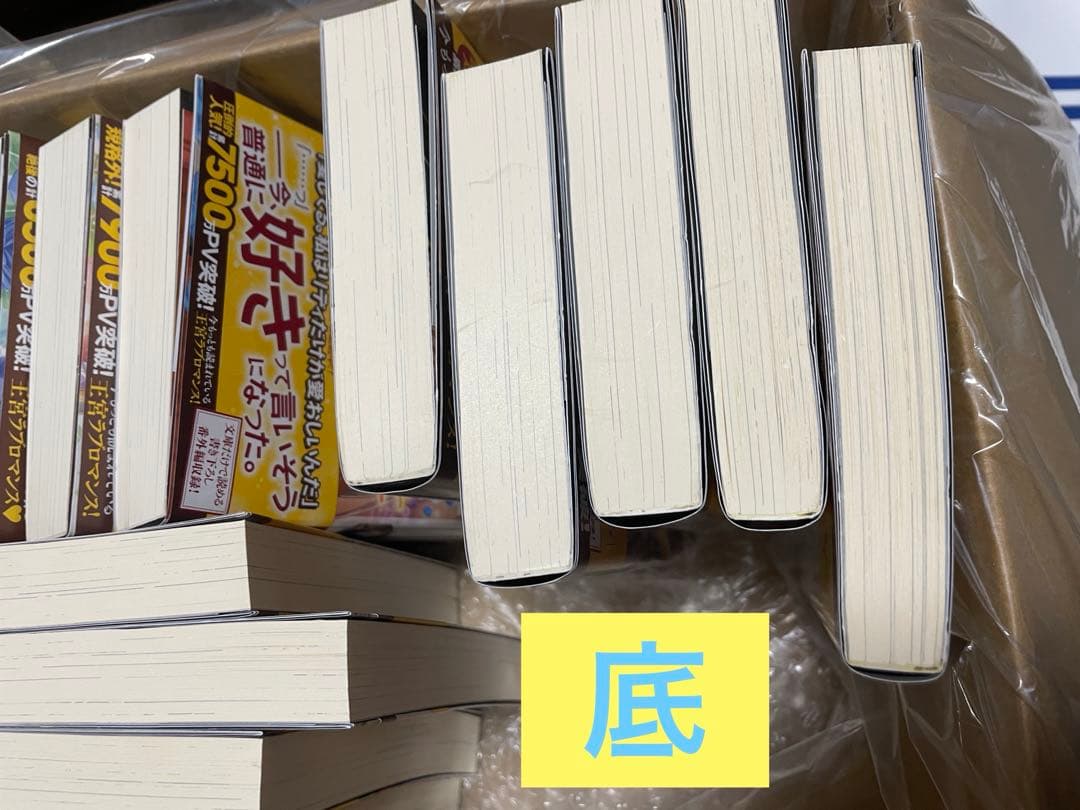 最終価格❗️王太子妃になんてなりたくない!! 1〜10全巻➕王太子妃編1〜5巻