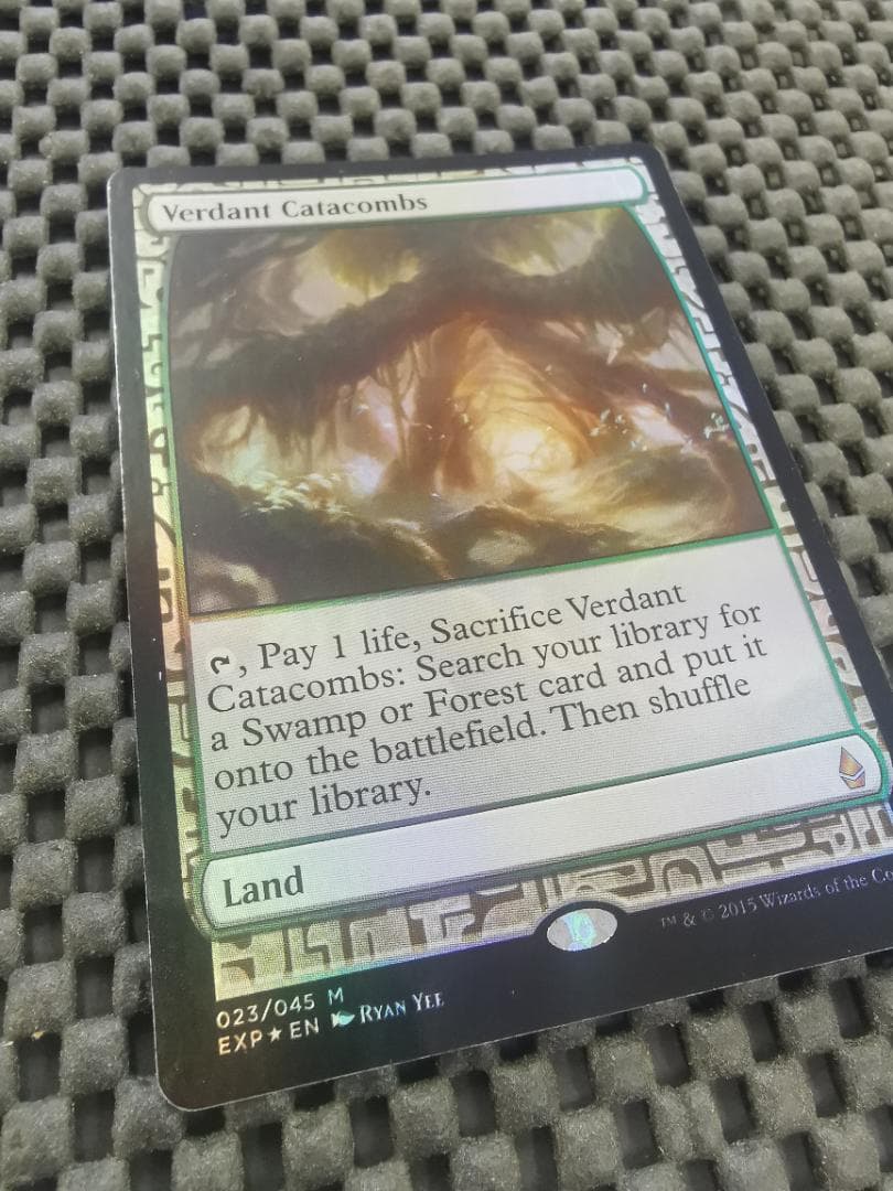 新緑の地下墓地/Verdant Catacombs/英語版 foil mtg