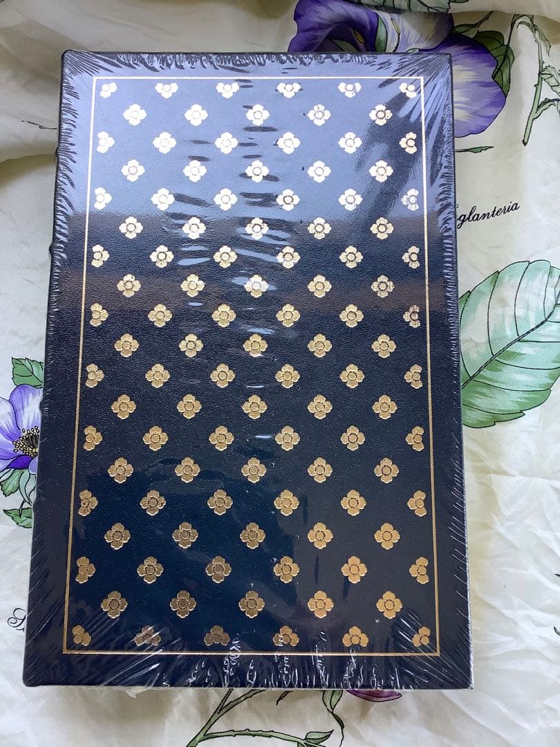 G FLAUBERT MADAME BOVARY フローベール『ボヴァリー夫人』